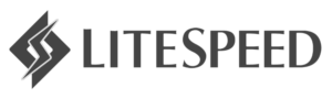 Création de sites web à Cluses 74 litespeed